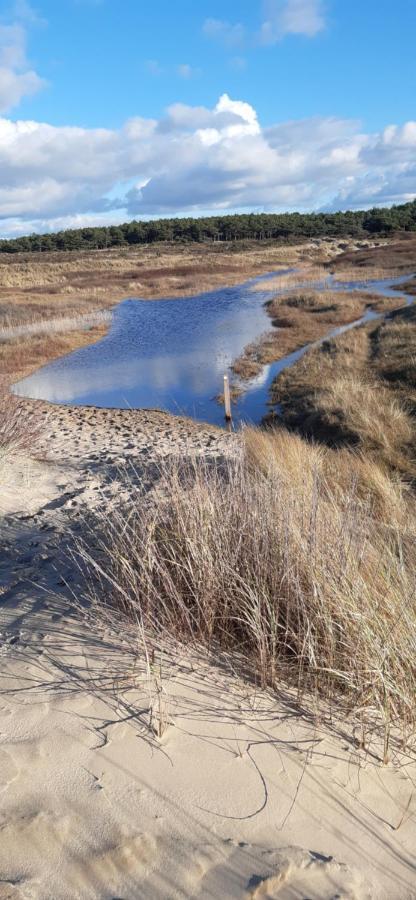 Zilvermeeuw Bergen aan Zee Εξωτερικό φωτογραφία