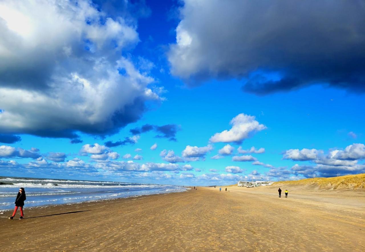 Zilvermeeuw Bergen aan Zee Εξωτερικό φωτογραφία
