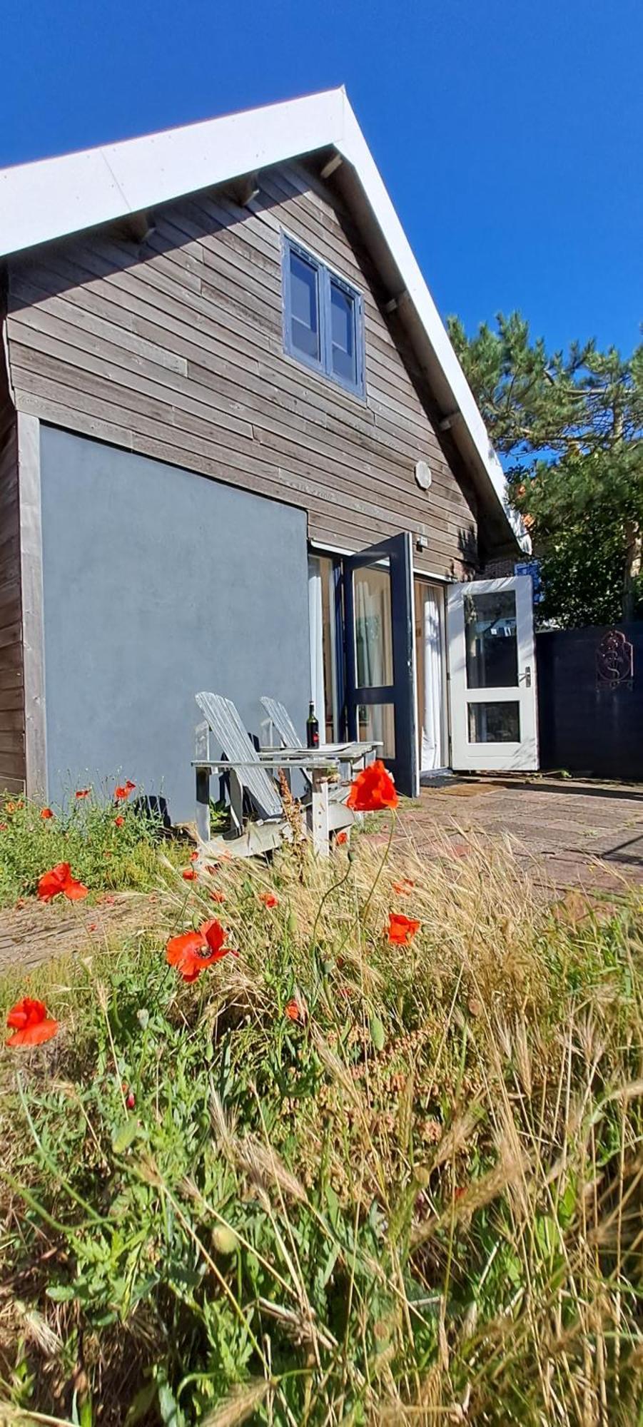 Zilvermeeuw Bergen aan Zee Εξωτερικό φωτογραφία